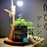 バーチャルギャラリー No.2 侘び草 水上葉アレンジメント