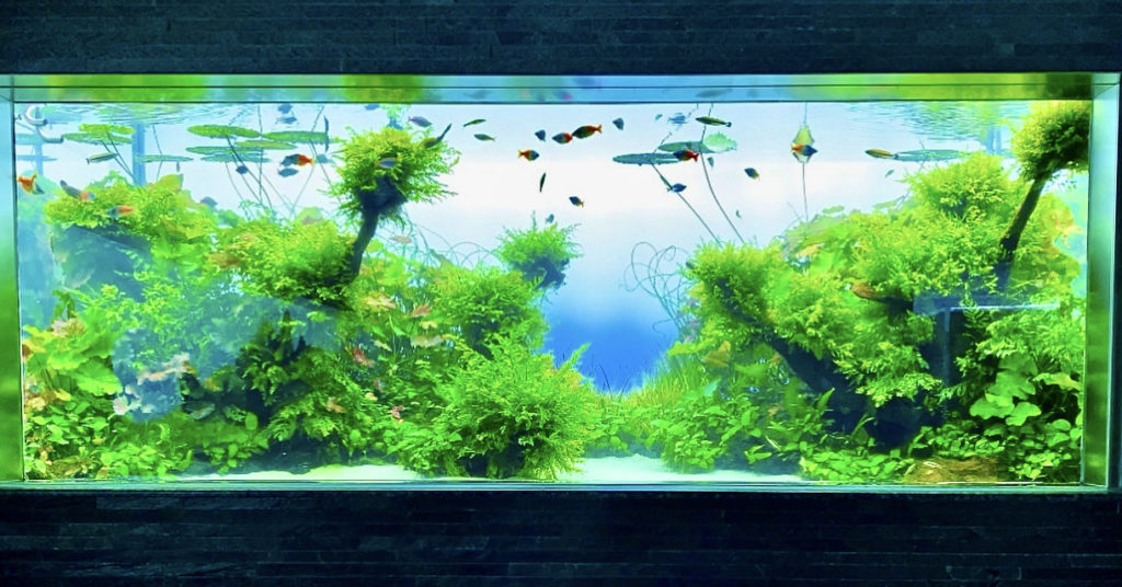 メーカー直送】 水槽ライトスクリーン60cm ×45cm - 魚用品/水草