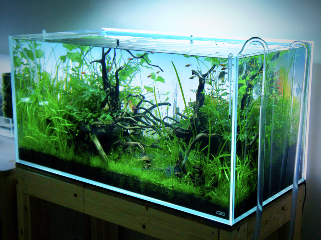 ライトスクリーン 90cm - 魚用品/水草