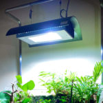 LED/蛍光灯/メタハラ 水草水槽のライトを徹底比較 -アクアリウムに最適な照明は？